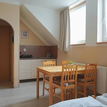 Guest house Penzion Zirovice Frantiskovy Lazne